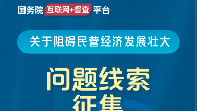 啊哈～舔人家骚逼国务院“互联网+督查”平台公开征集阻碍民营经济发展壮大问题线索